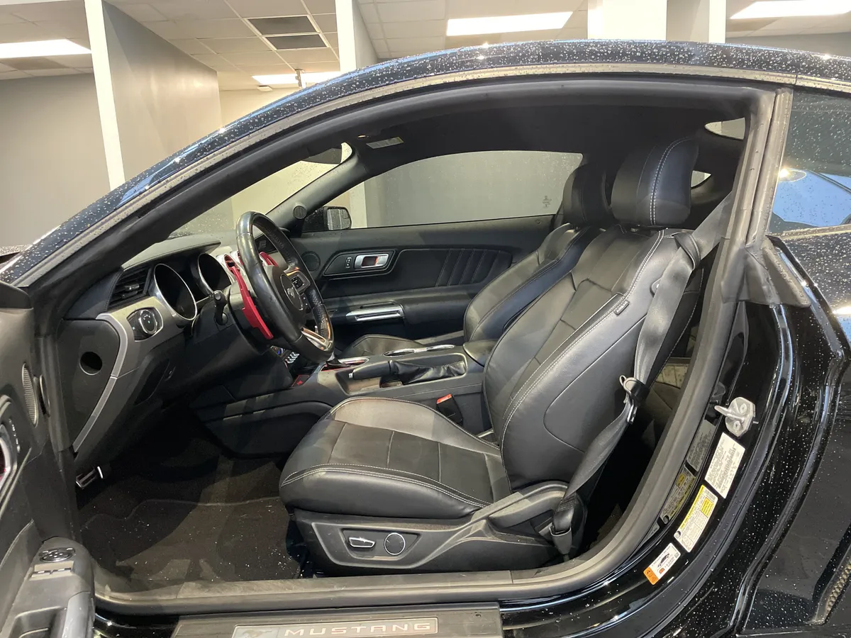 2019 Ford Mustang GT Premium thumbnail 16