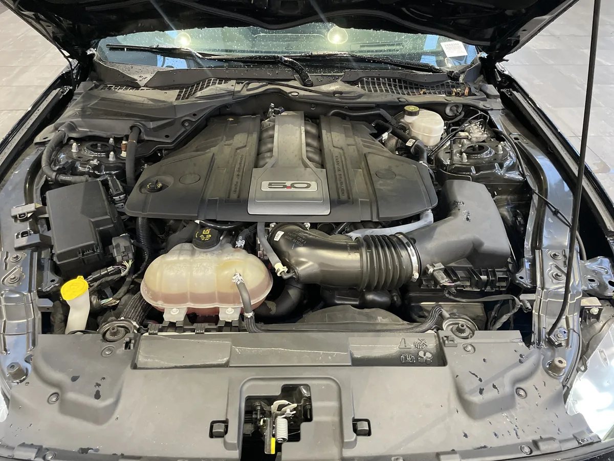 2019 Ford Mustang GT Premium thumbnail 38