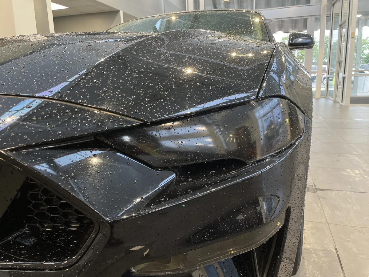 2019 Ford Mustang GT Premium thumbnail 4