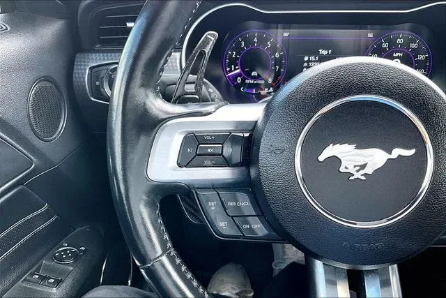 2019 Ford Mustang GT Premium thumbnail 10