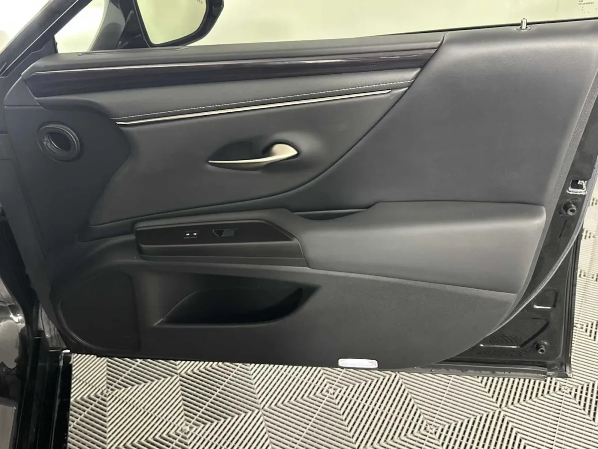 2019 Lexus ES 350 thumbnail 17