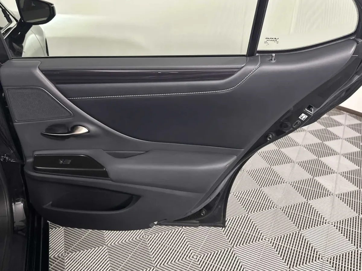 2019 Lexus ES 350 thumbnail 19