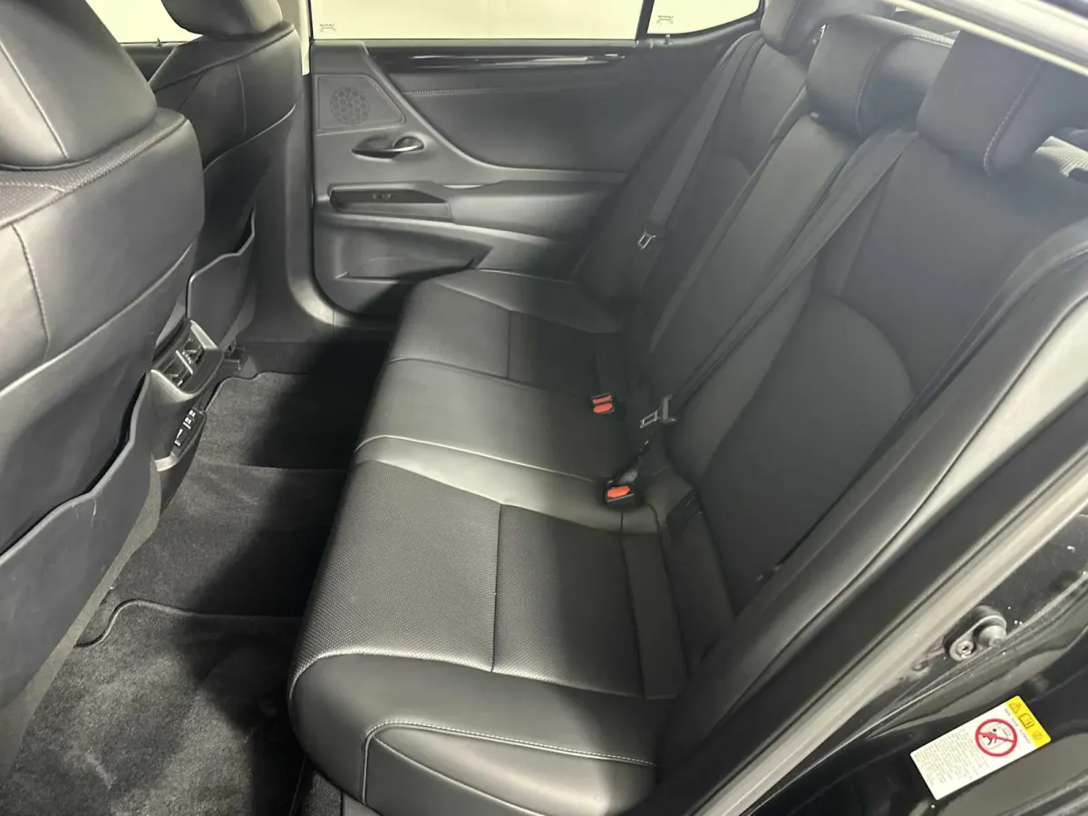 2019 Lexus ES 350 thumbnail 22