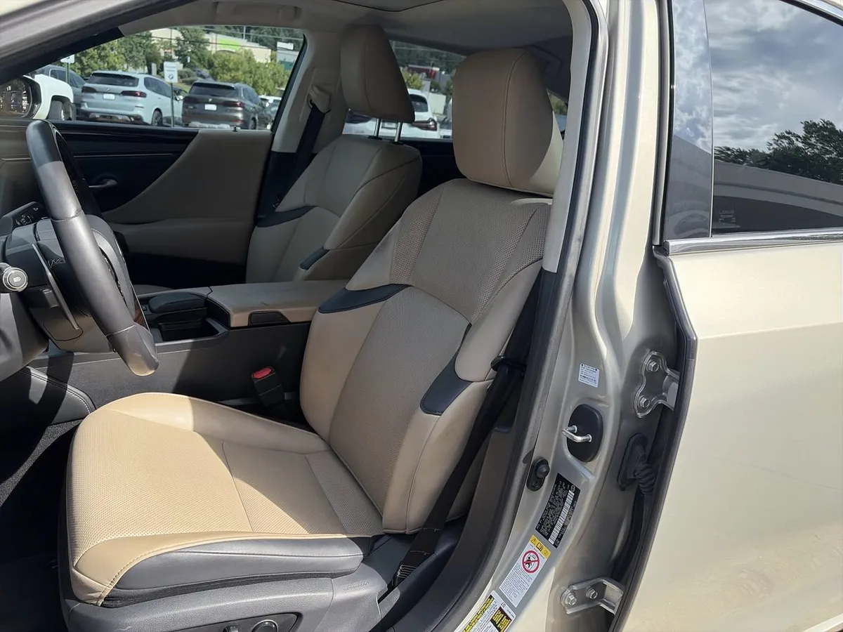 2019 LEXUS ES 350 Premium thumbnail 14