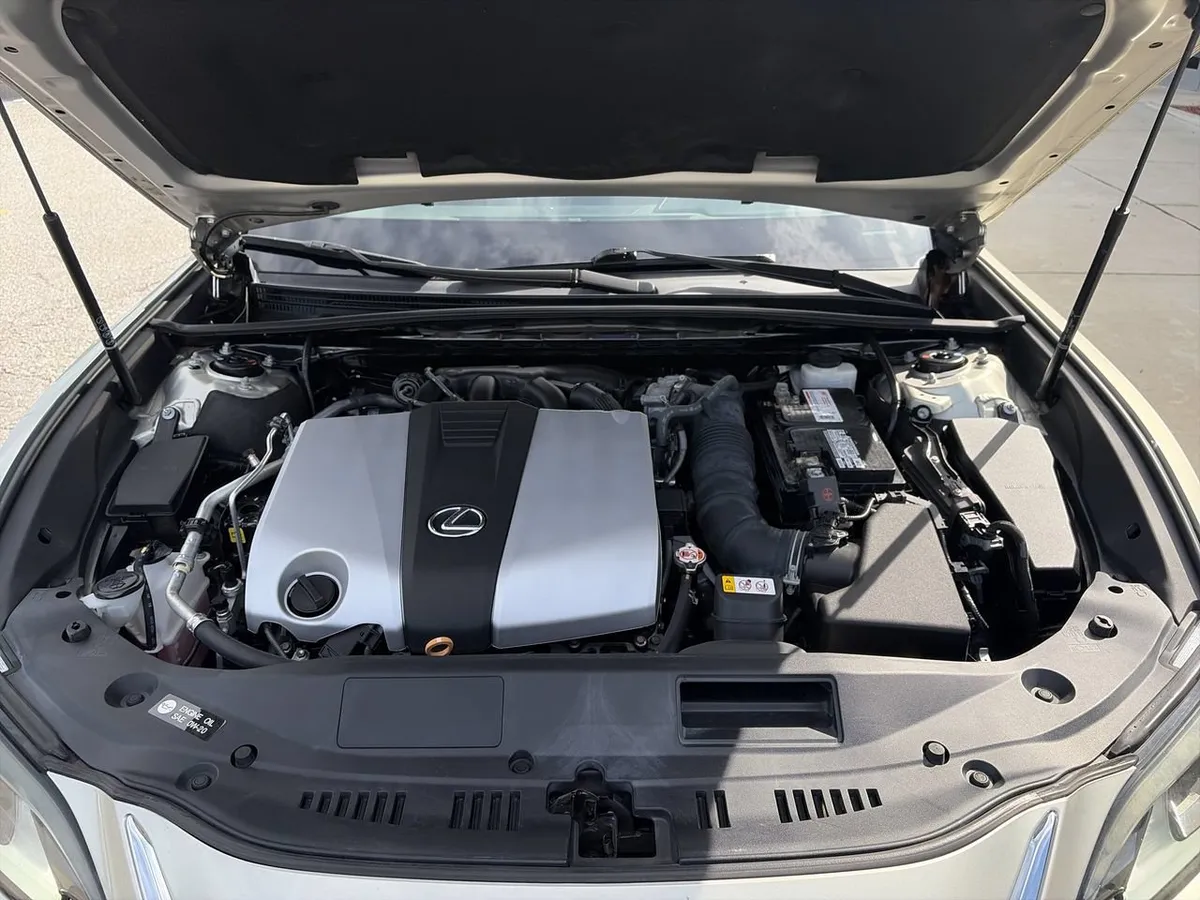2019 LEXUS ES 350 Premium thumbnail 33