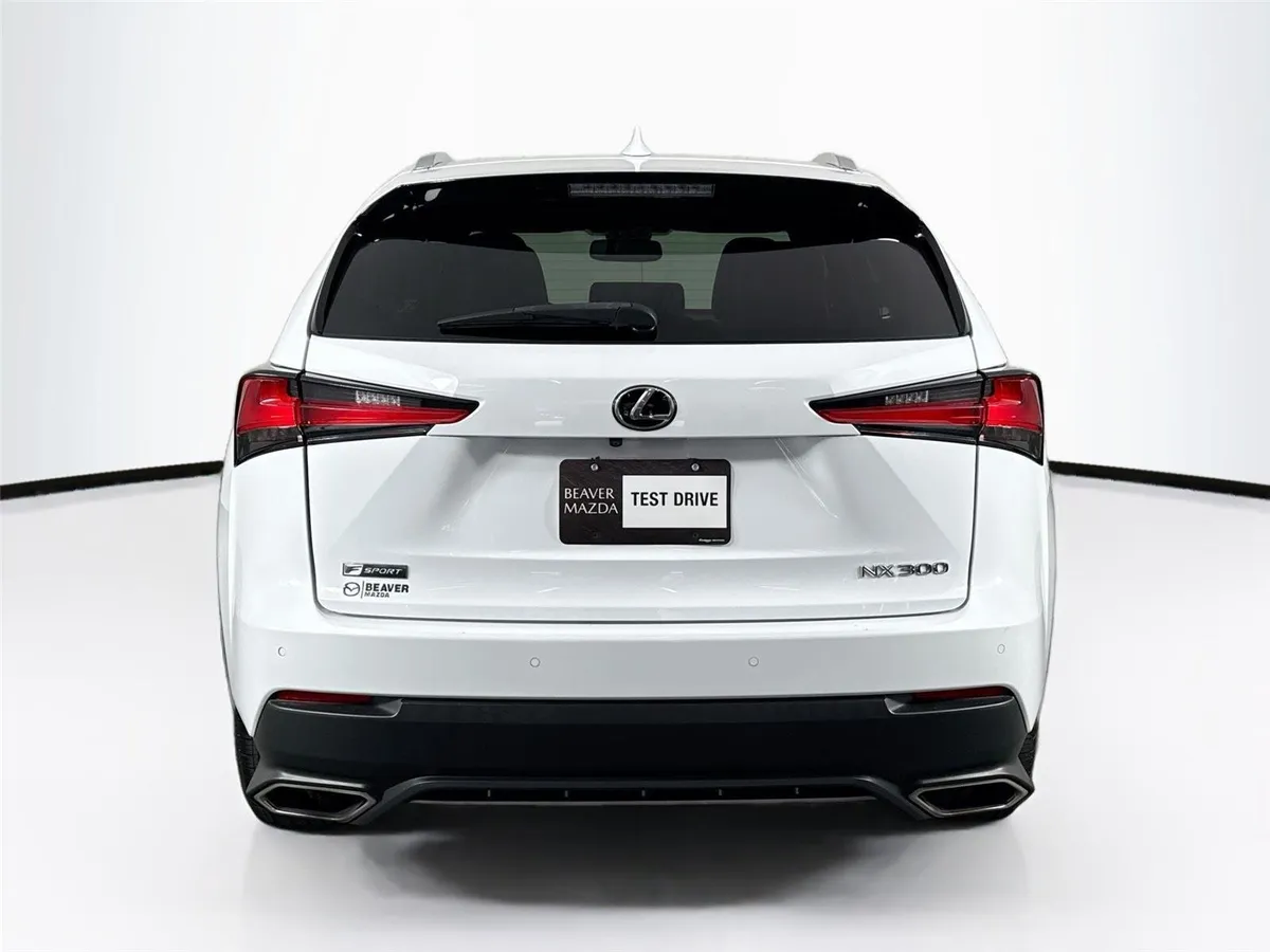 2019 Lexus NX NX 300 F SPORT thumbnail 12