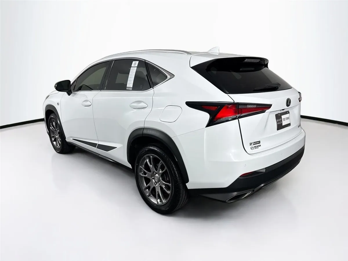 2019 Lexus NX NX 300 F SPORT thumbnail 13