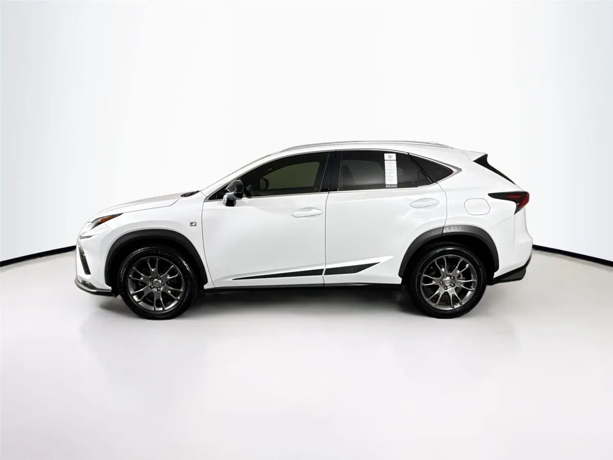 2019 Lexus NX NX 300 F SPORT thumbnail 14