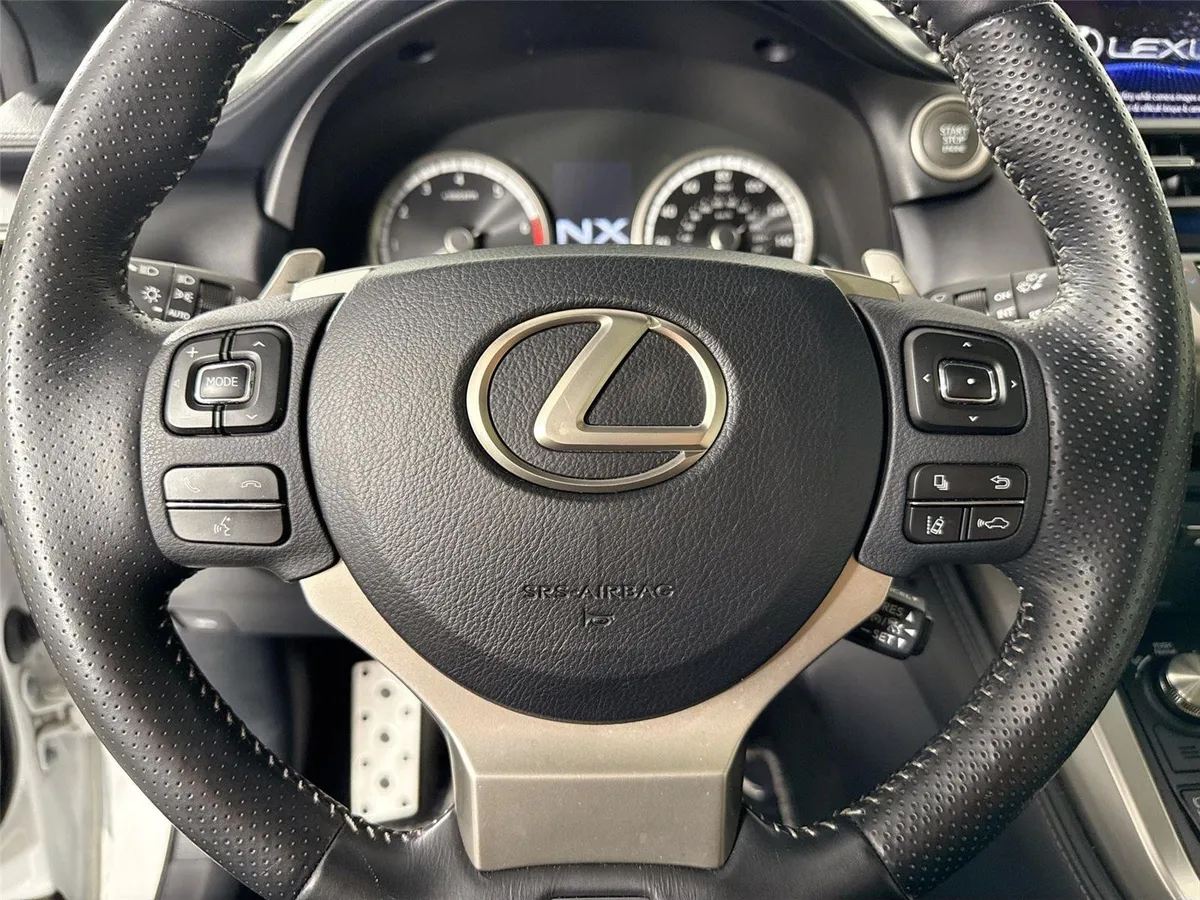 2019 Lexus NX NX 300 F SPORT thumbnail 17