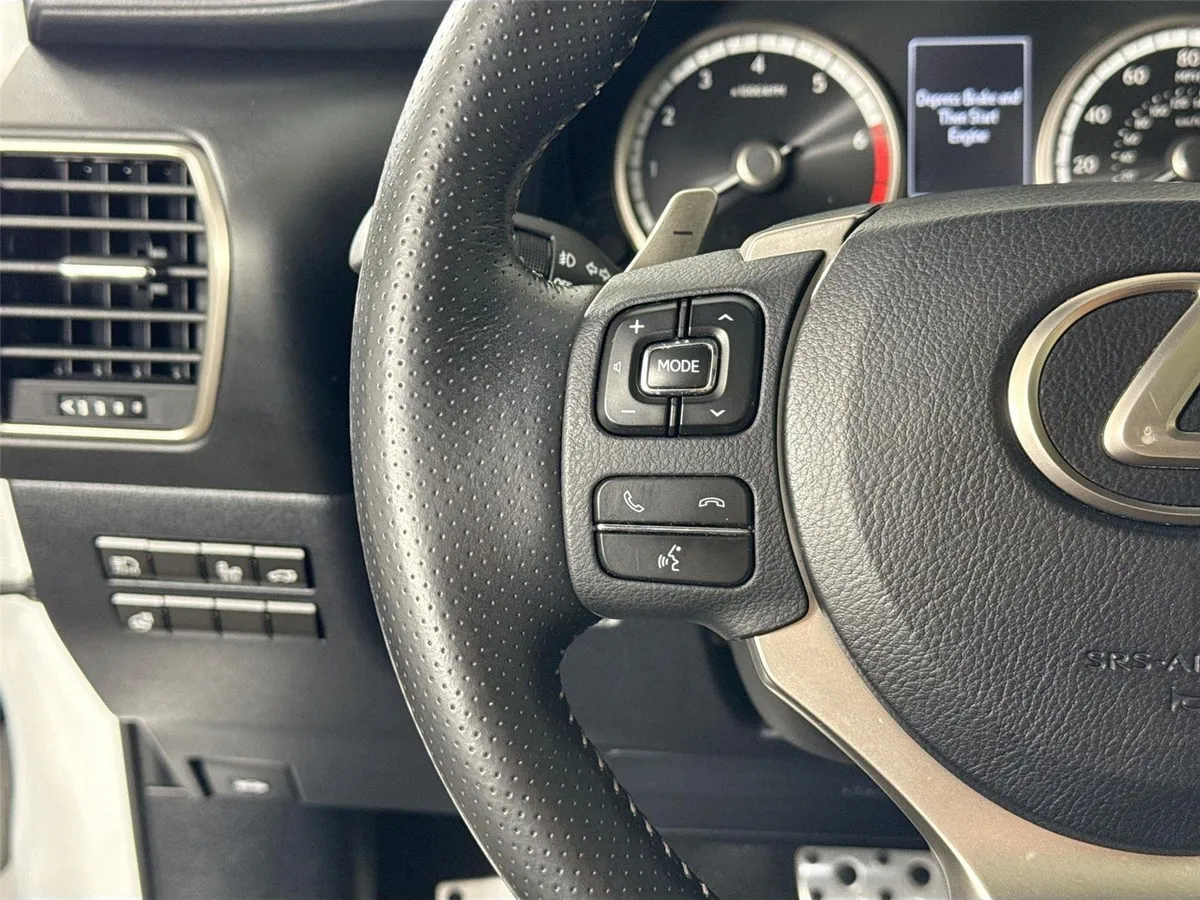 2019 Lexus NX NX 300 F SPORT thumbnail 18