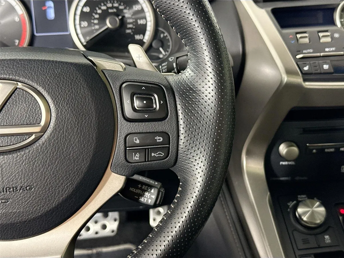 2019 Lexus NX NX 300 F SPORT thumbnail 19