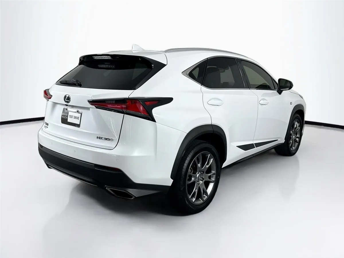 2019 Lexus NX NX 300 F SPORT thumbnail 2