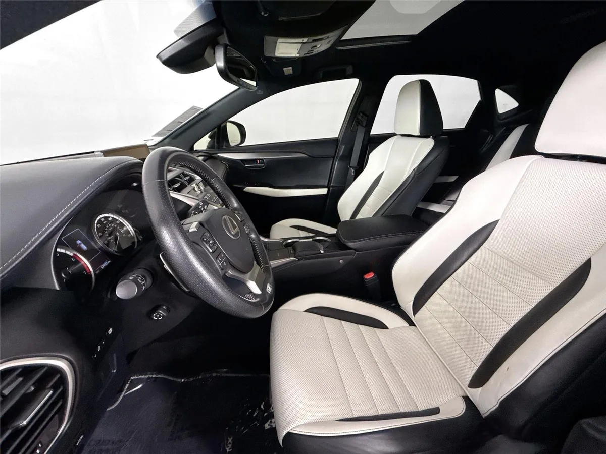 2019 Lexus NX NX 300 F SPORT thumbnail 3