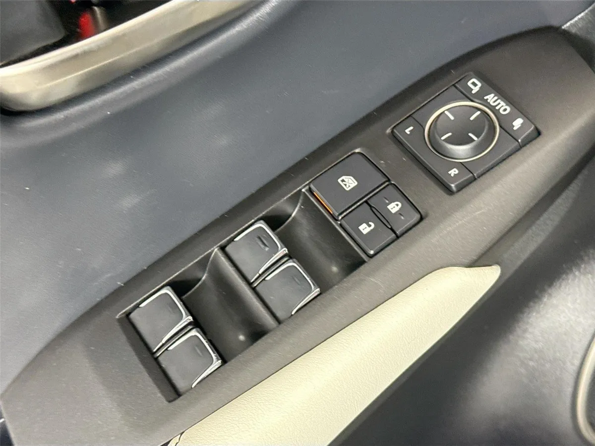 2019 Lexus NX NX 300 F SPORT thumbnail 30