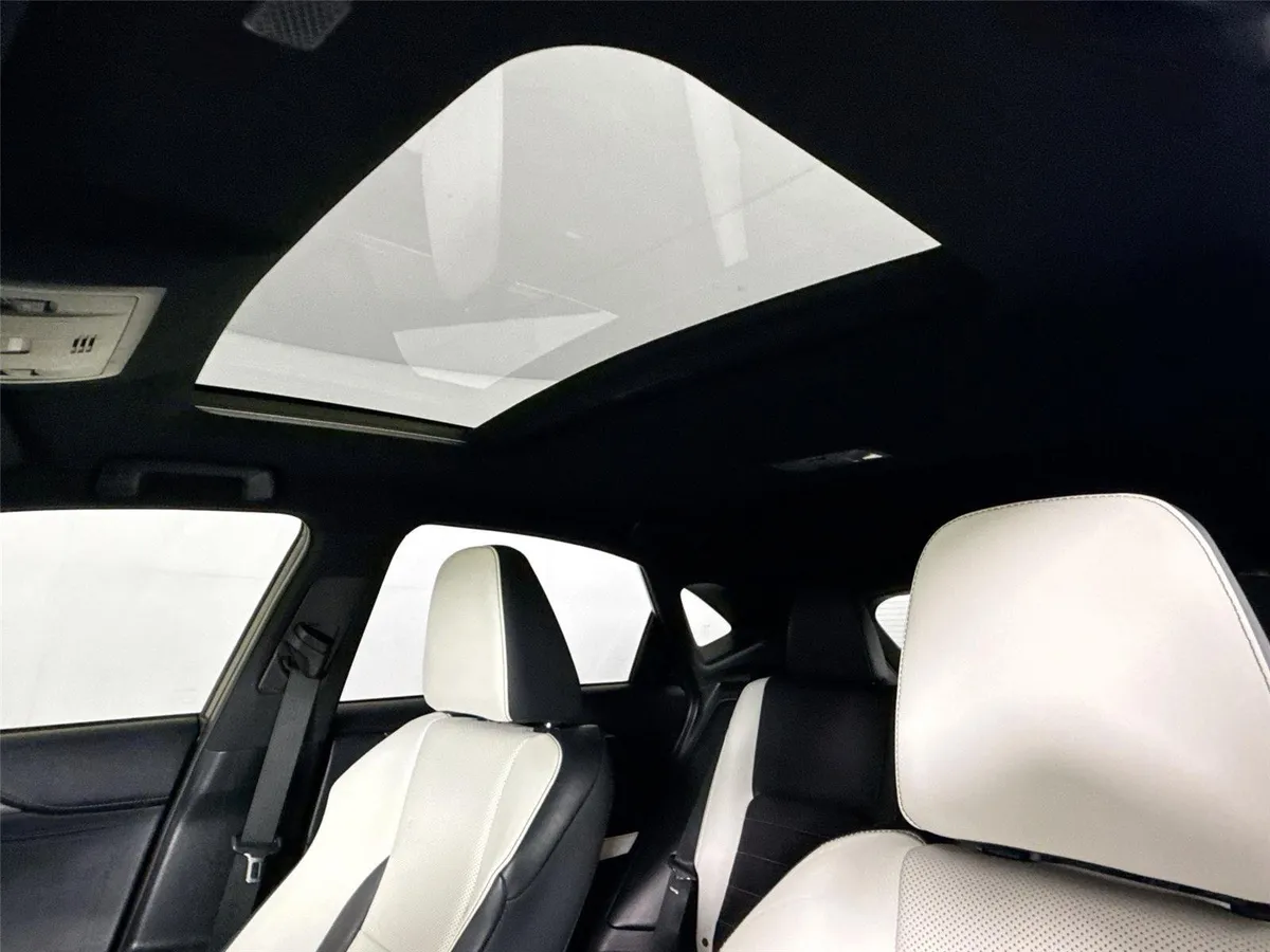 2019 Lexus NX NX 300 F SPORT thumbnail 6