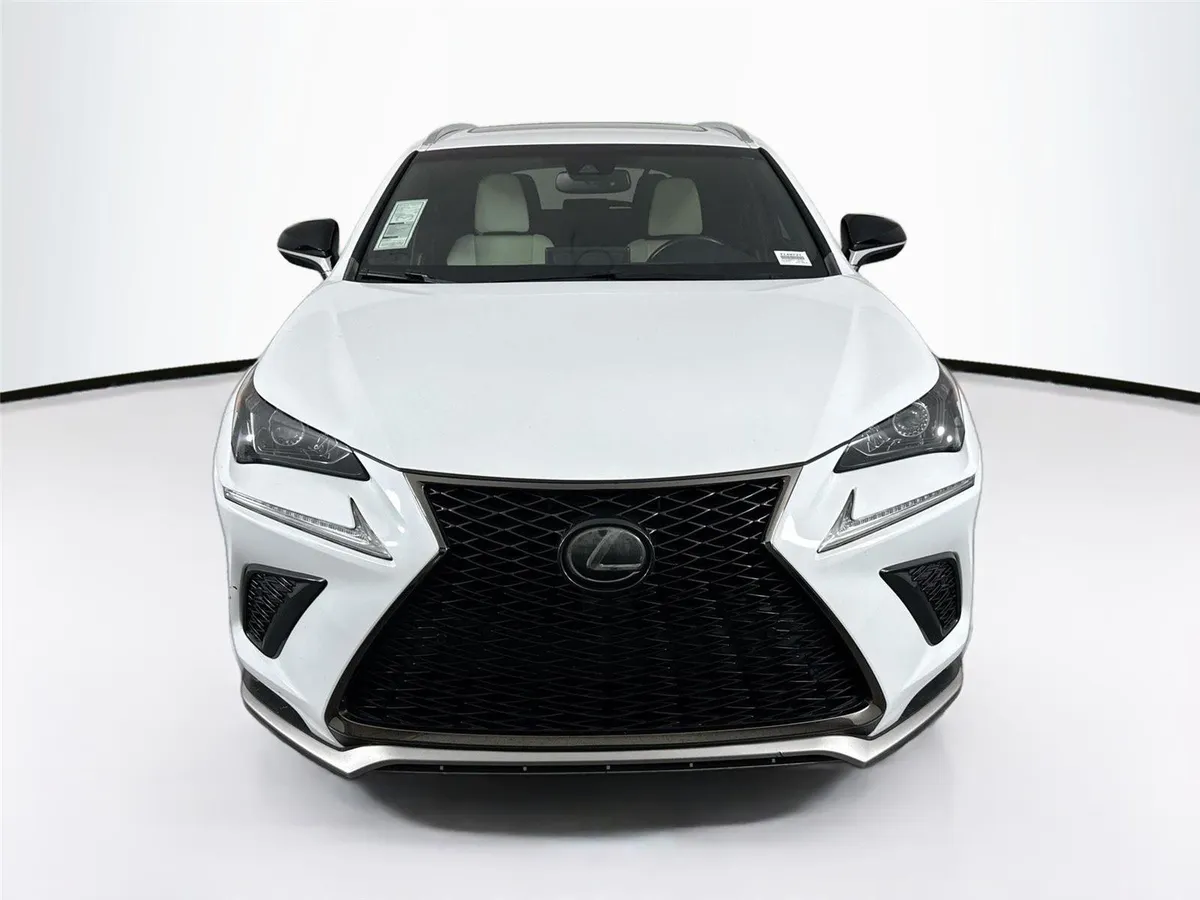 2019 Lexus NX NX 300 F SPORT thumbnail 9