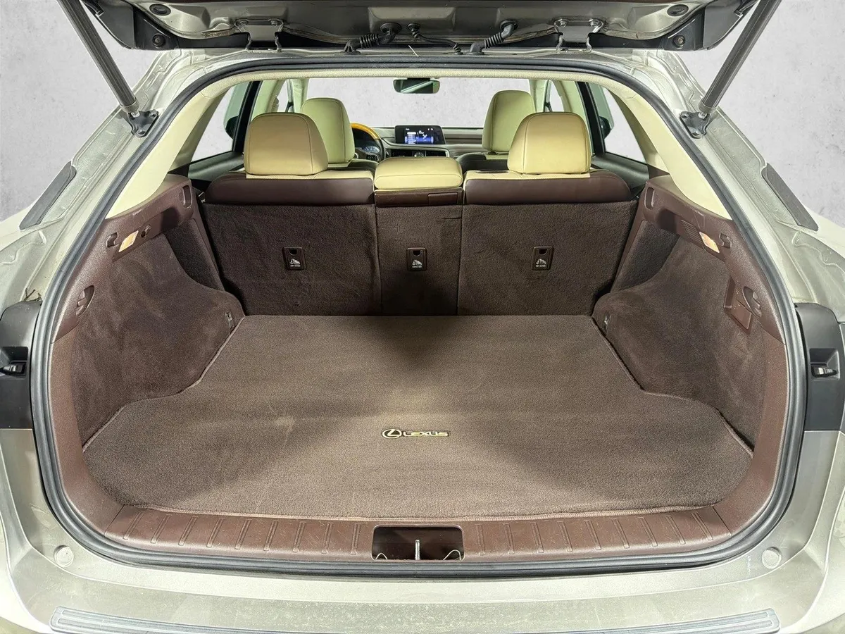 2019 Lexus RX RX 350 thumbnail 19