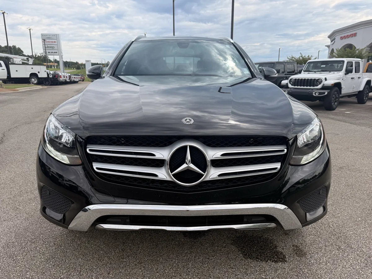 2019 Mercedes-Benz GLC GLC 300 thumbnail 2