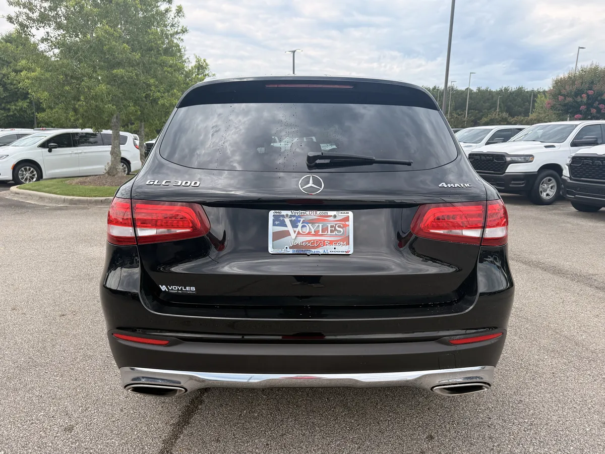 2019 Mercedes-Benz GLC GLC 300 thumbnail 6
