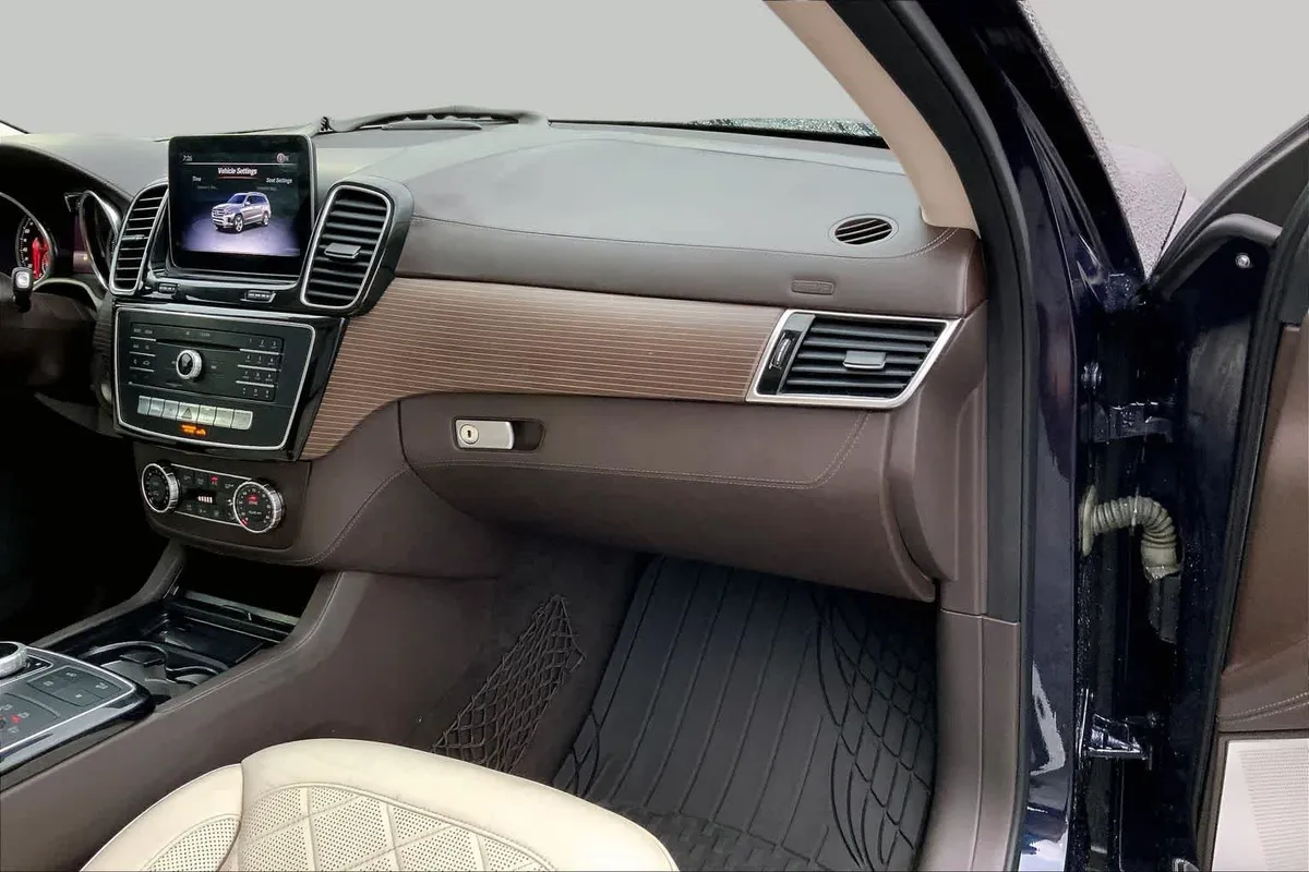 2019 Mercedes-Benz GLS 450 GLS 450 thumbnail 18