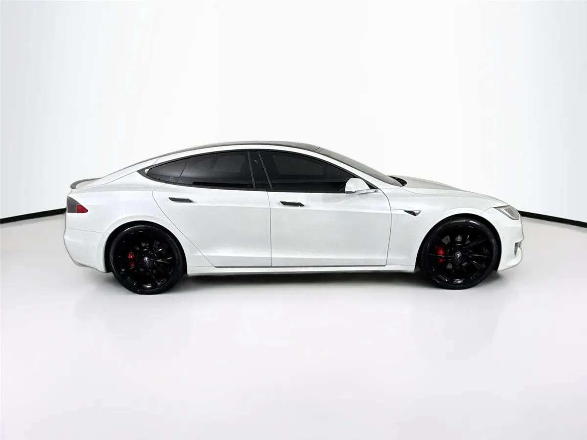 2019 Tesla Model S Performance thumbnail 11