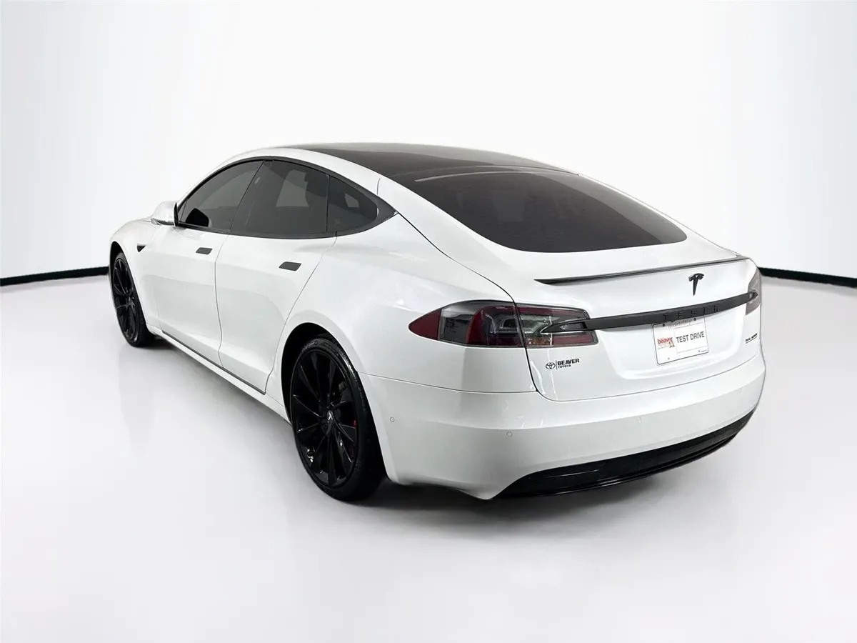 2019 Tesla Model S Performance thumbnail 13