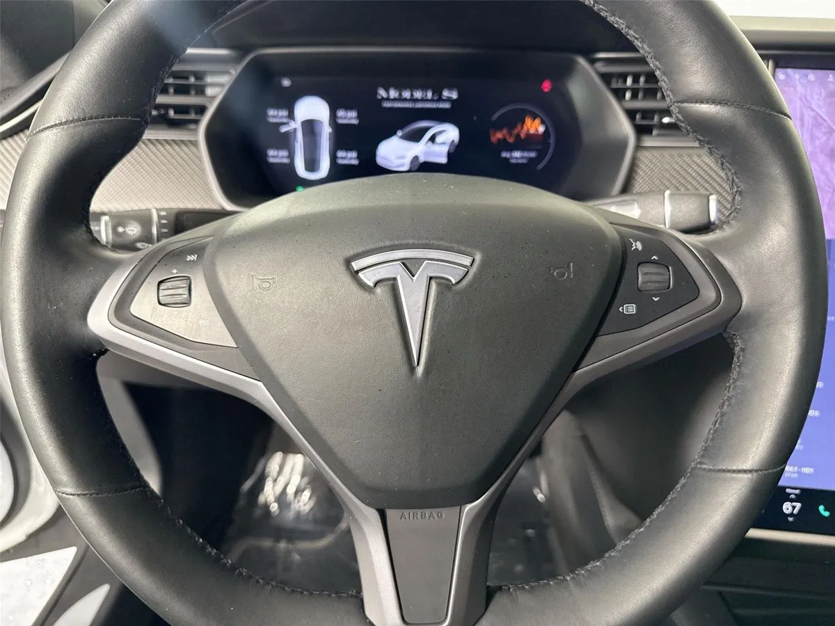 2019 Tesla Model S Performance thumbnail 17