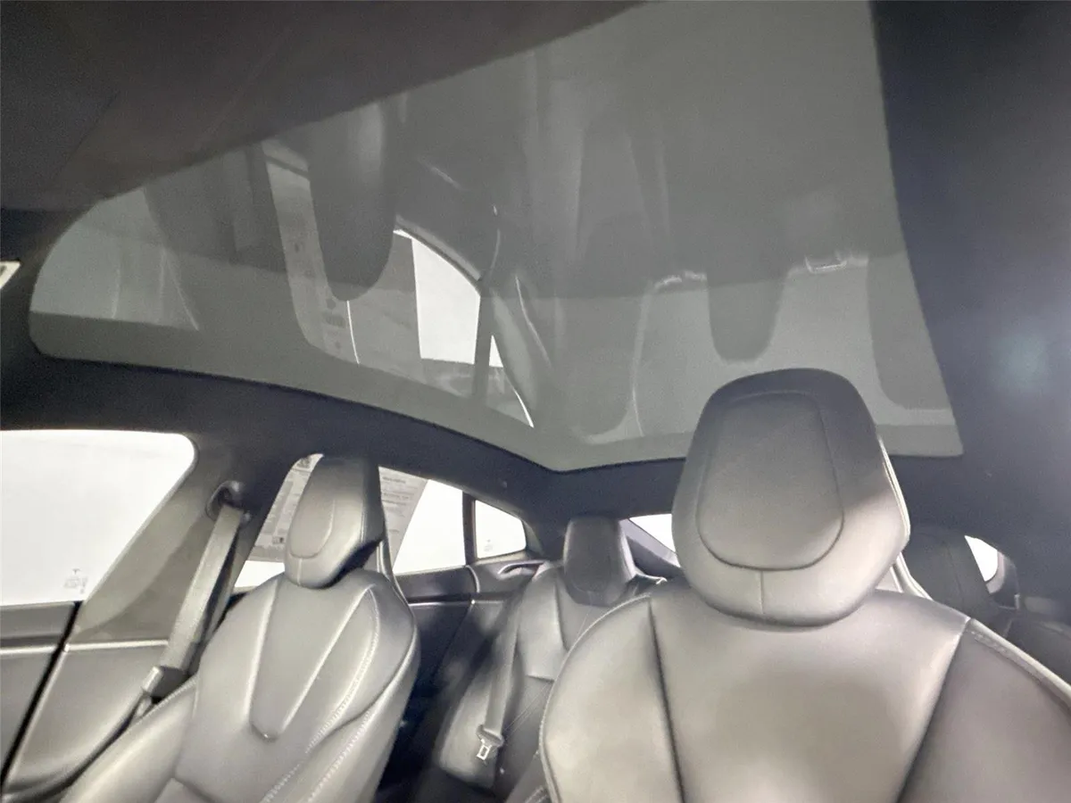 2019 Tesla Model S Performance thumbnail 6