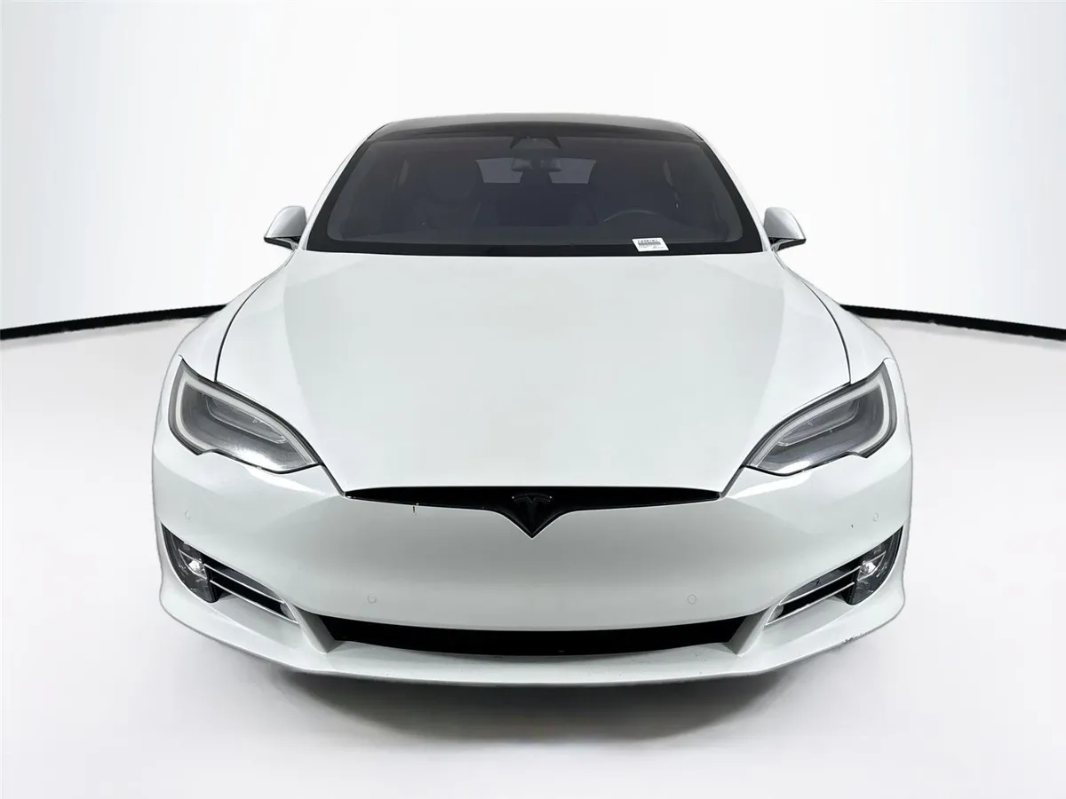 2019 Tesla Model S Performance thumbnail 9