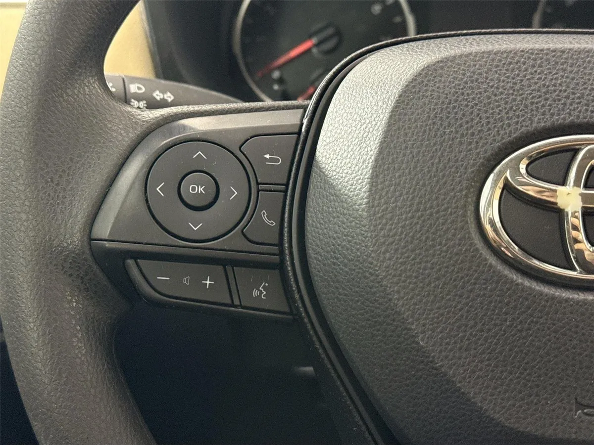 2019 Toyota RAV4 LE thumbnail 16