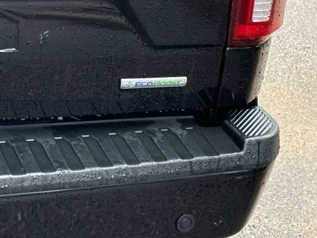 2020 Ford F-150 thumbnail 9