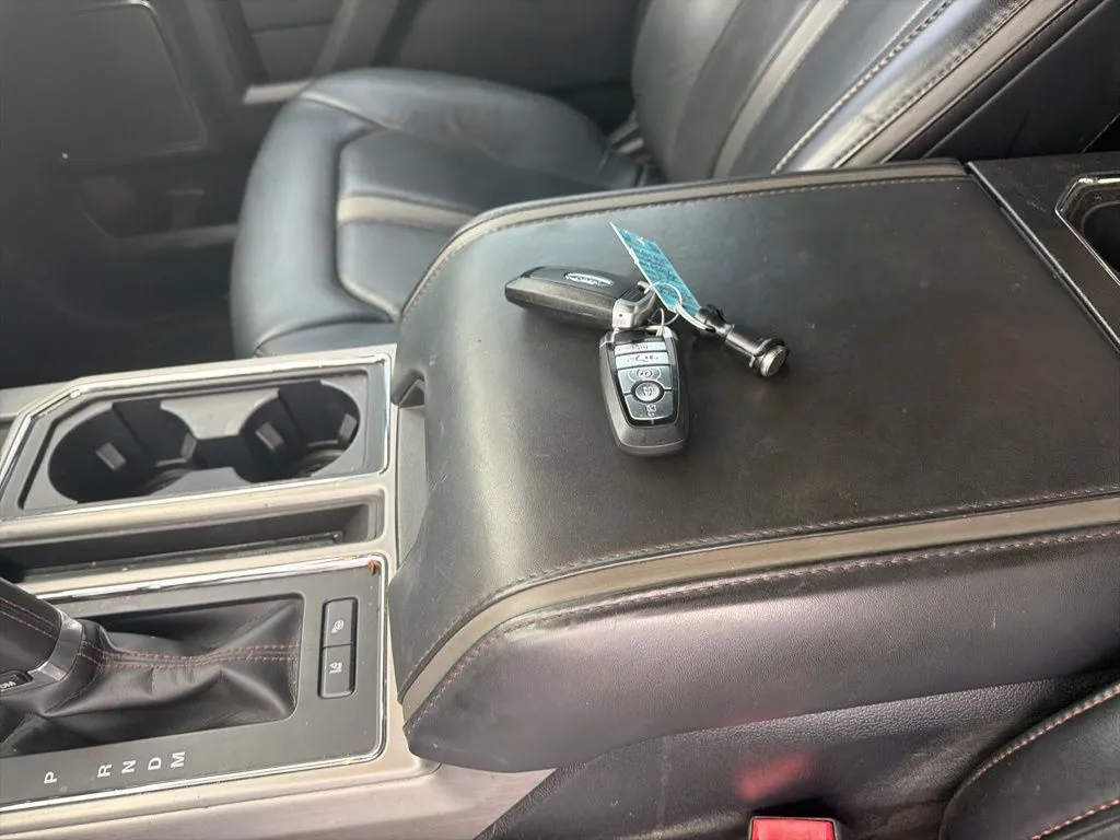 2020 Ford F-150 Platinum thumbnail 15