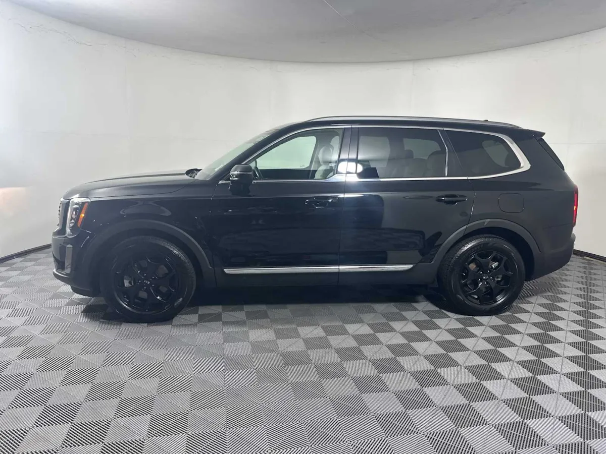 2020 Kia Telluride EX thumbnail 4