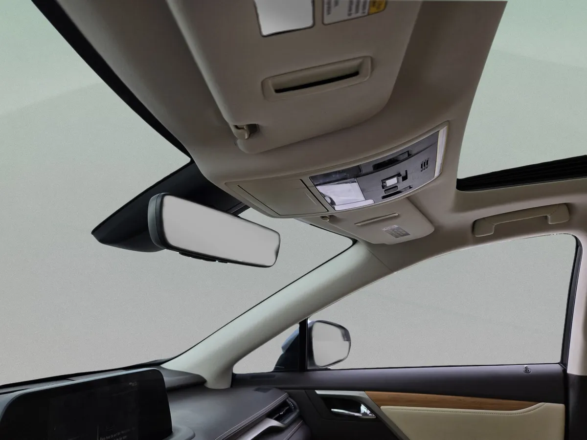 2020 LEXUS RX 350L thumbnail 15