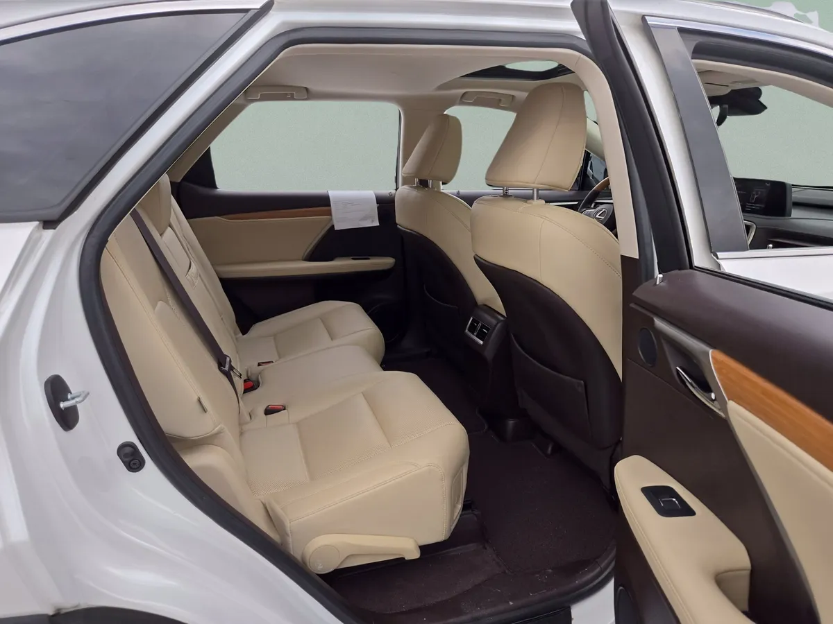 2020 LEXUS RX 350L thumbnail 26
