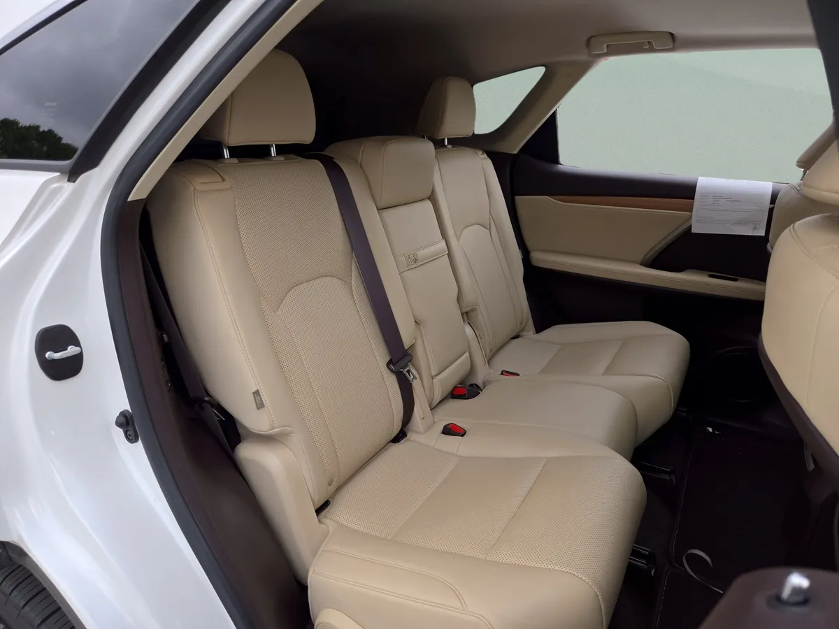 2020 LEXUS RX 350L thumbnail 27