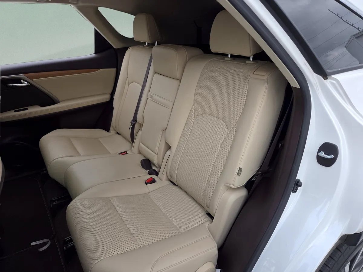2020 LEXUS RX 350L thumbnail 29