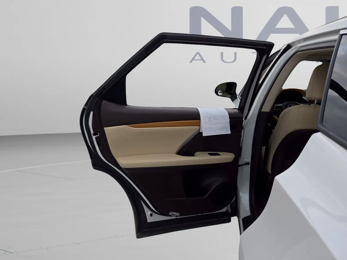 2020 LEXUS RX 350L thumbnail 31