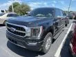 2021 Ford F-150 Platinum thumbnail 4