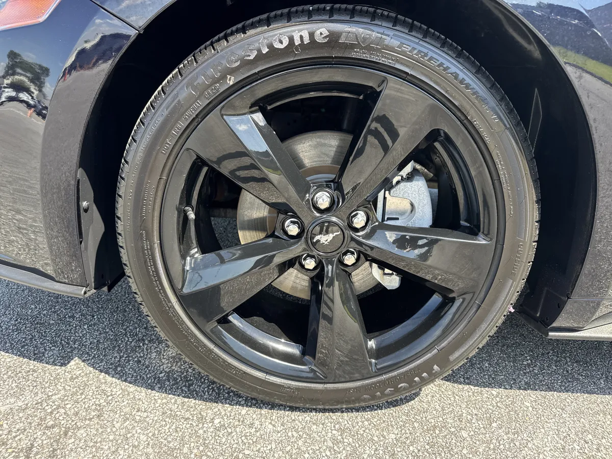 2021 Ford Mustang EcoBoost thumbnail 12
