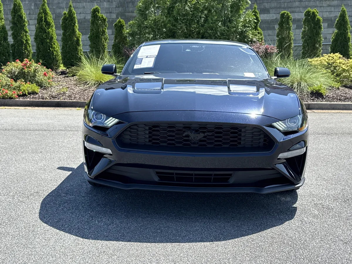 2021 Ford Mustang EcoBoost thumbnail 2