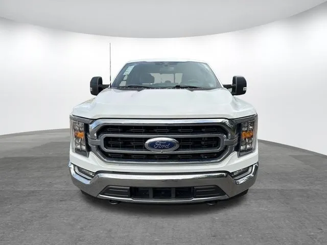 2022 Ford F-150 thumbnail 2