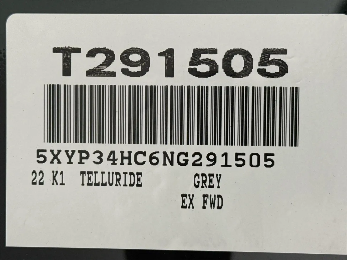 2022 Kia Telluride EX thumbnail 47