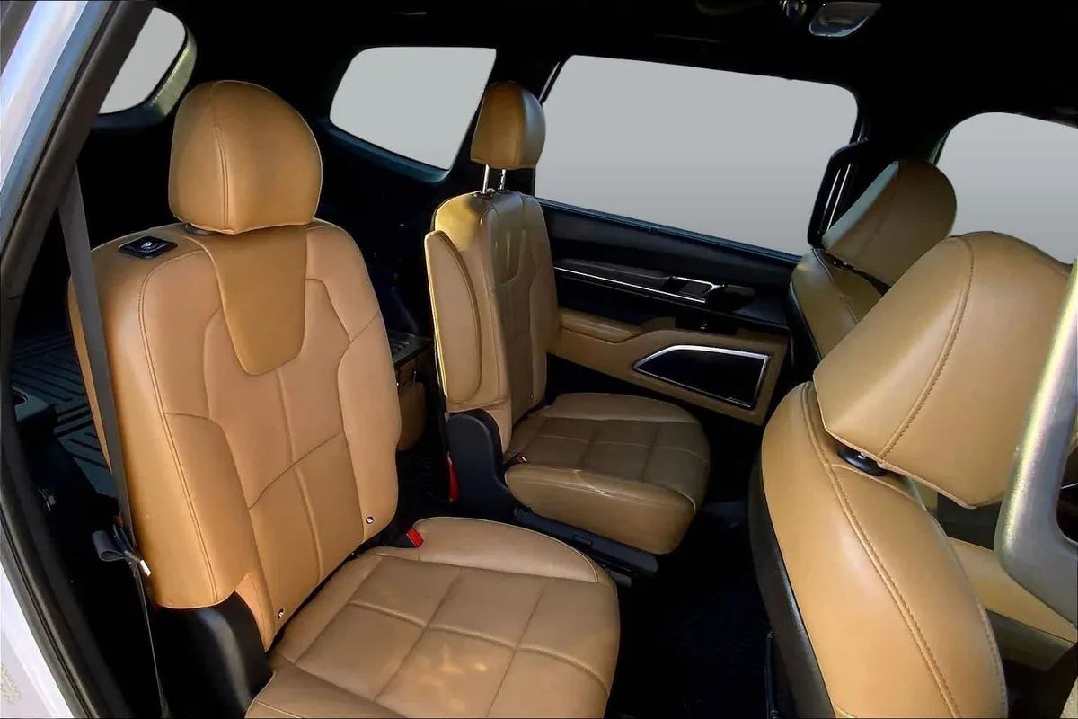 2022 Kia Telluride SX thumbnail 18