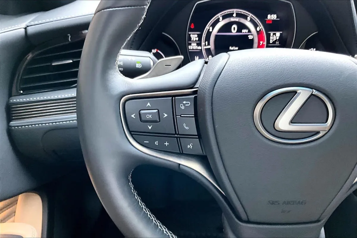 2022 Lexus LS 500 thumbnail 24