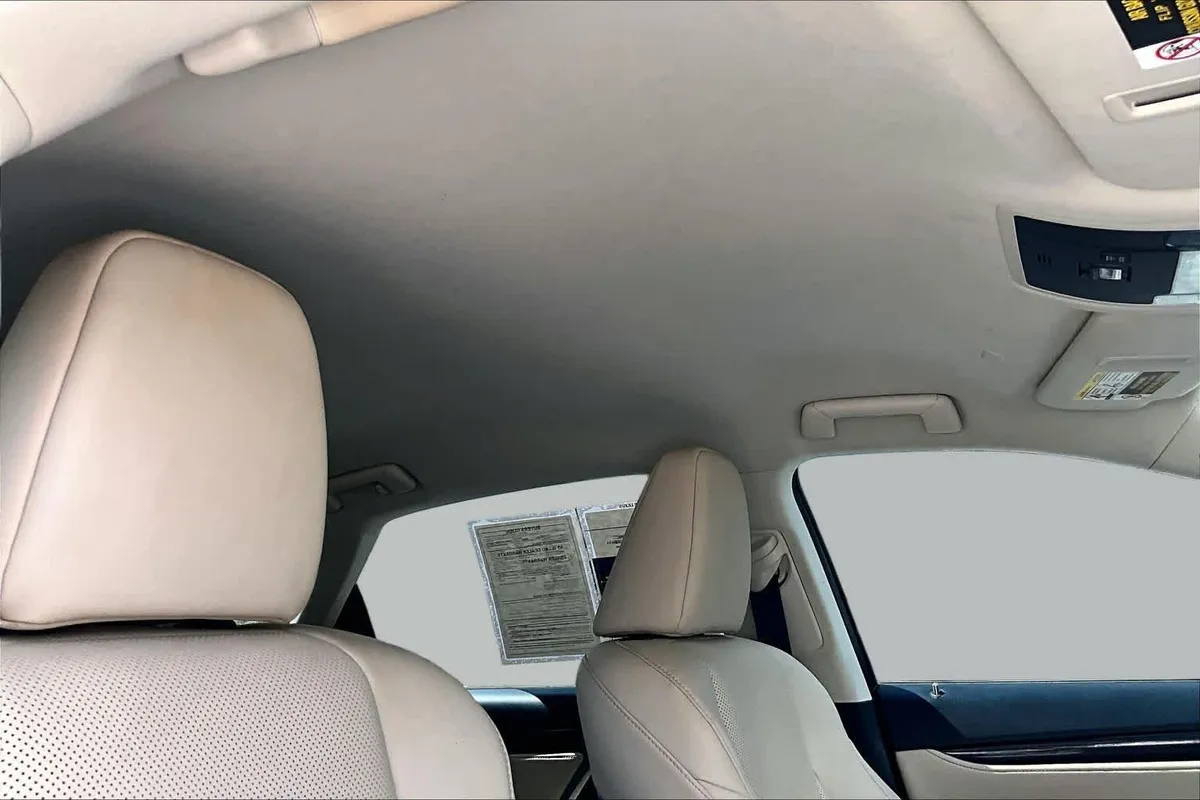 2022 Lexus RX 350 thumbnail 14
