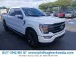 2023 Ford F-150 thumbnail 19