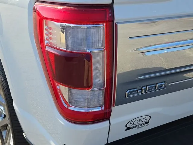 2023 Ford F-150 Limited thumbnail 12