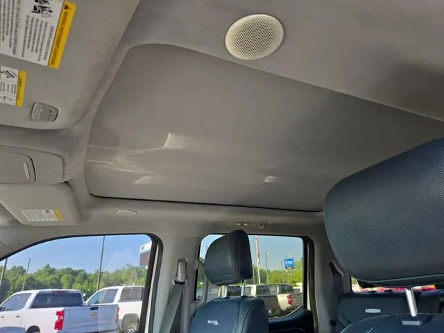 2023 Ford F-150 Limited thumbnail 19