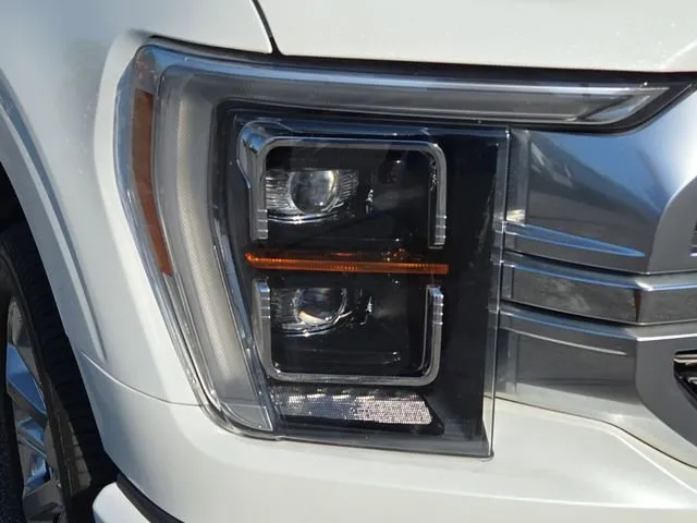 2023 Ford F-150 Limited thumbnail 5